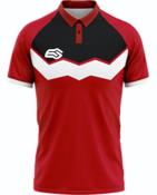 POLO DRAGO