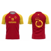 SURMAILLOT BASKET SUBLIMÉ